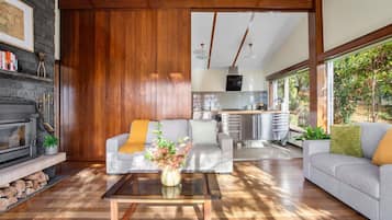 TV, fireplace, offices