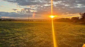 Pelto, jonka taustalla näkyy auringonlasku.