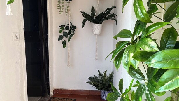 Un couloir doté d’un sol carrelé, d’une porte noire et de plusieurs jardinières suspendues contenant différentes plantes.