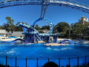 Beheizter Pool