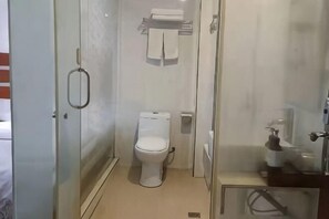 A bathroom with a toilet, a glass shower enclosure, and a sink with a soap dispenser.