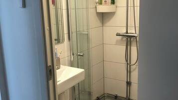 A bathroom with a glass-enclosed shower, a sink, and a shelf with toiletries.