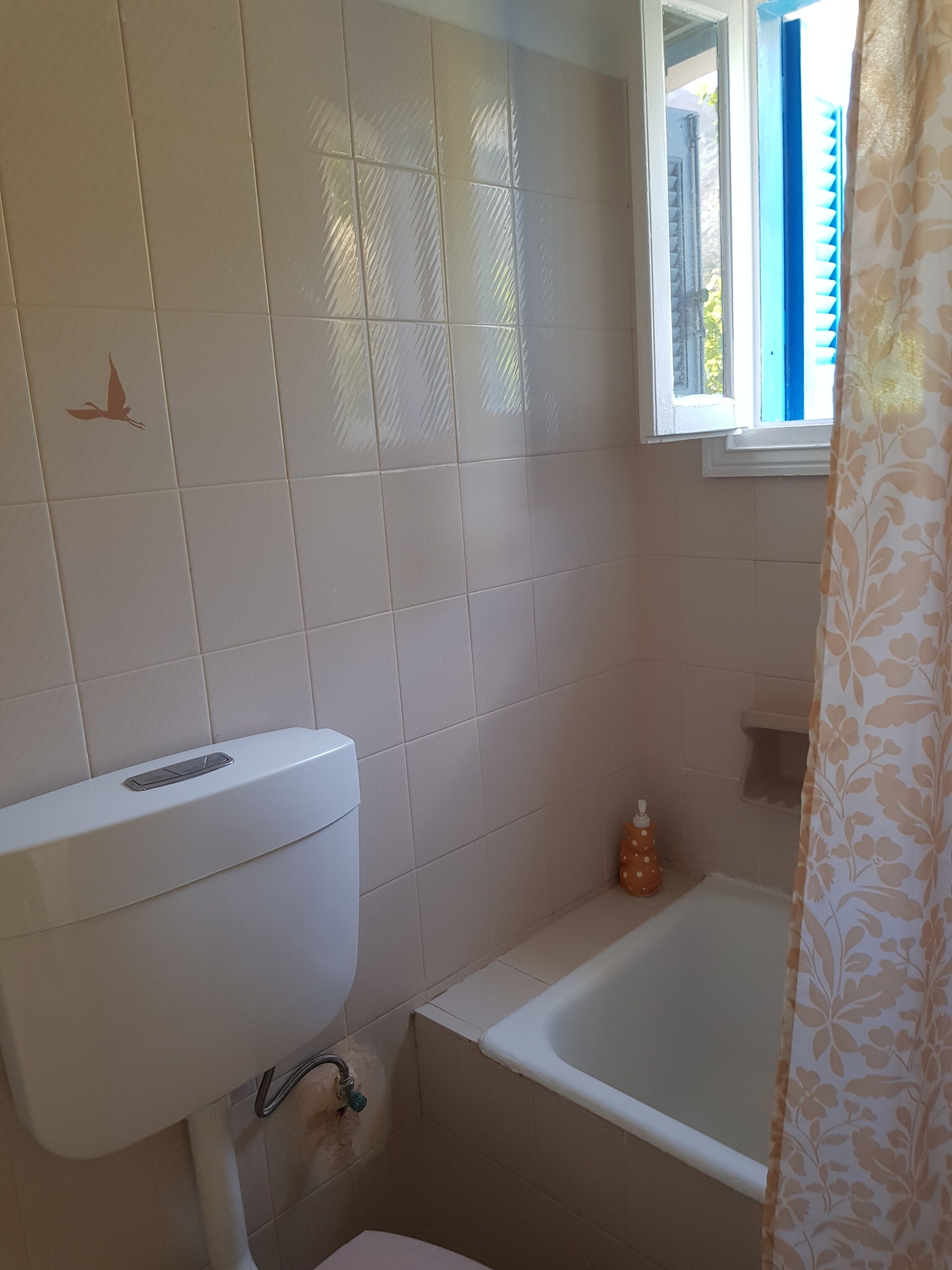 Cabezal de ducha tipo lluvia, secador de pelo, bidé y toallas