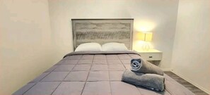 3 bedrooms, iron/ironing board, WiFi, bed sheets - #13 Clearwater airport home (Clearwater)