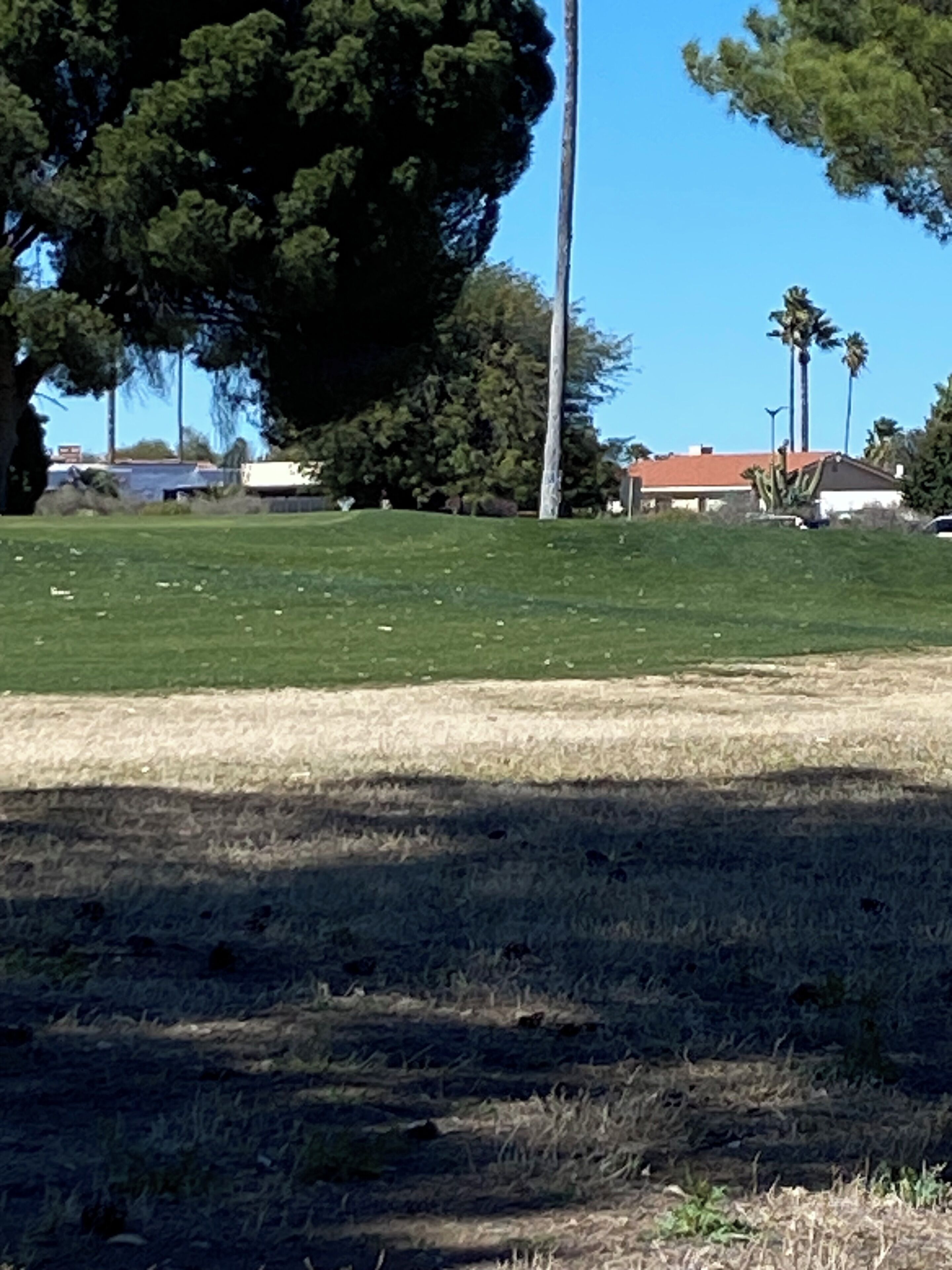 The 18th Hole at Green Valley