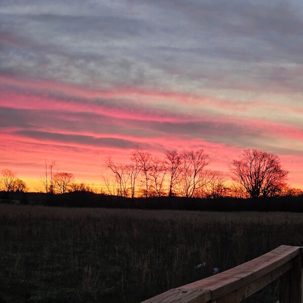 A sunset over a field with bare trees silhouetted against the sky. - Doniphan/Current River 3br/2ba Rural Getaway 50 acre Ryan's Ranch (Doniphan)