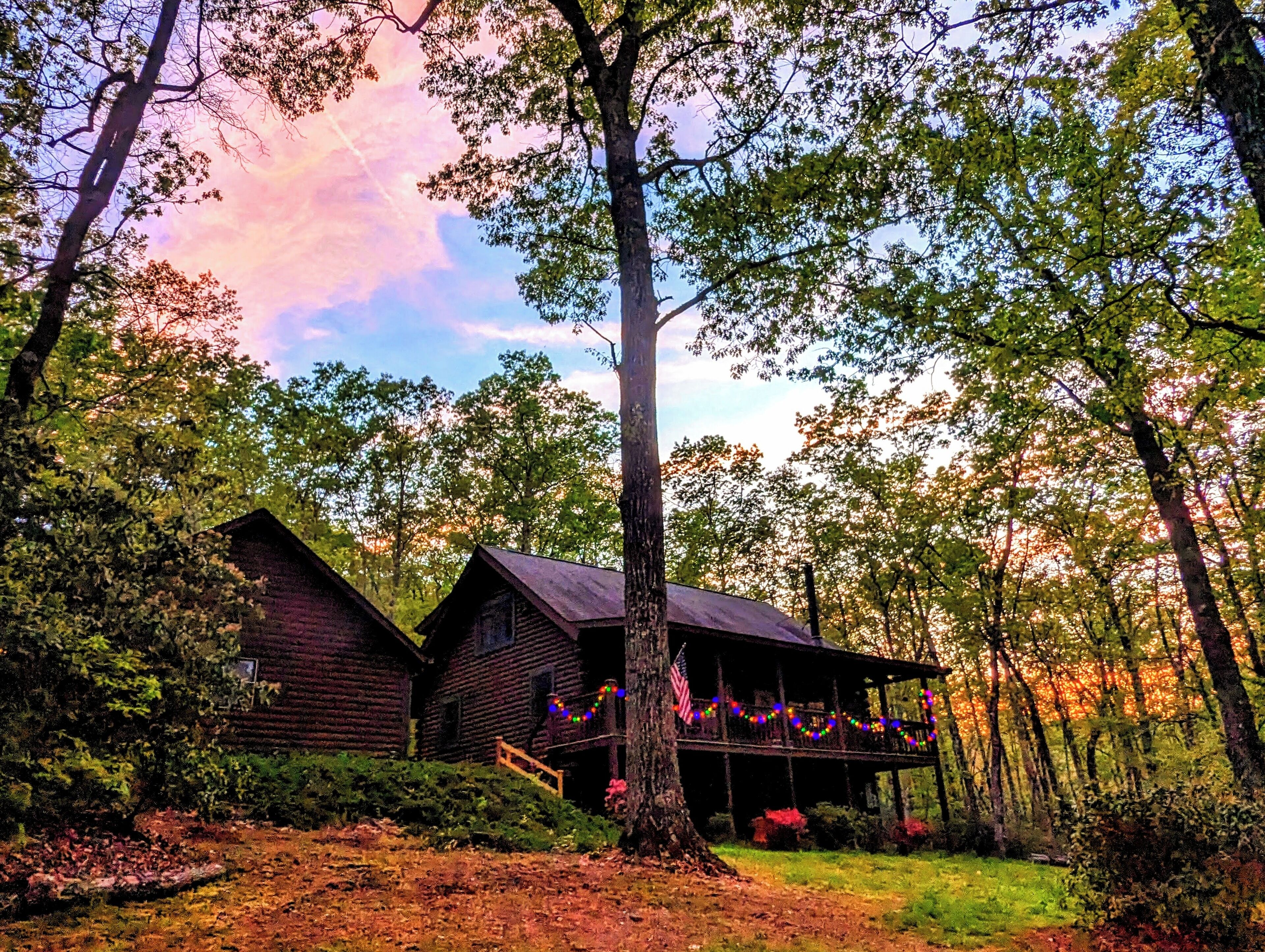 Cozy Cabin Near Table Rock Nestled in Nature. Dog Friendly!