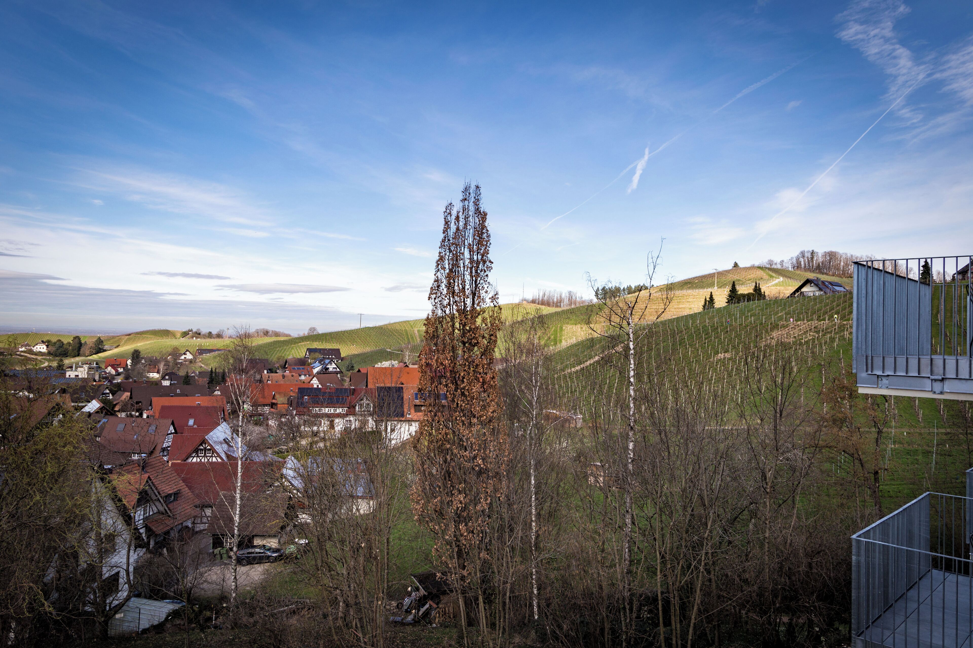 Ein ländliches Dorf mit traditionellen Häusern, einem markanten Baum und sanften Hügeln im Hintergrund.
