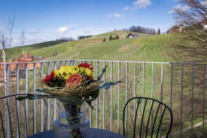 Balcony view - Adler Apartments Sasbachwalden (Sasbachwalden)