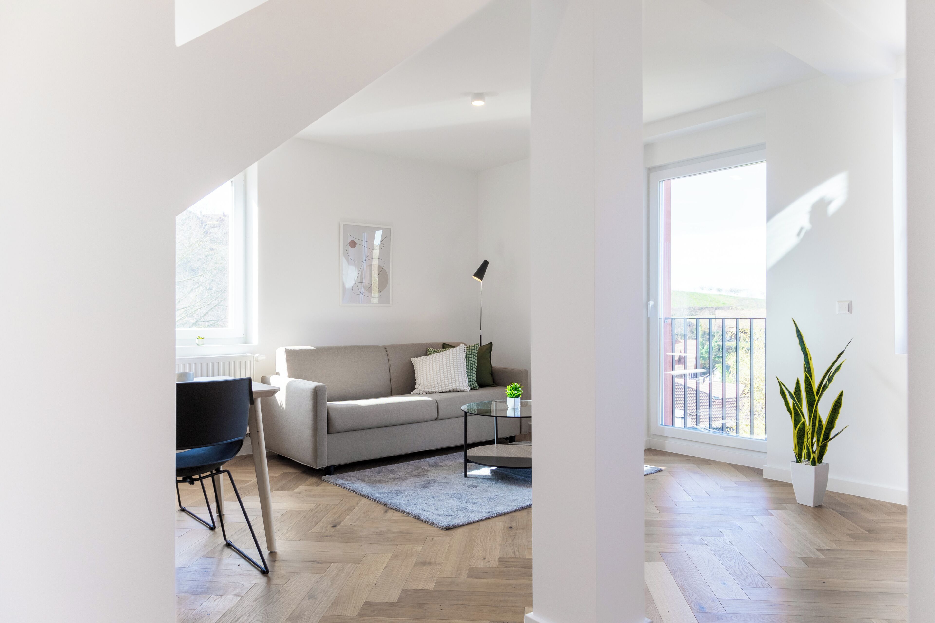 A modern living room with a sofa, coffee table, and a potted plant.