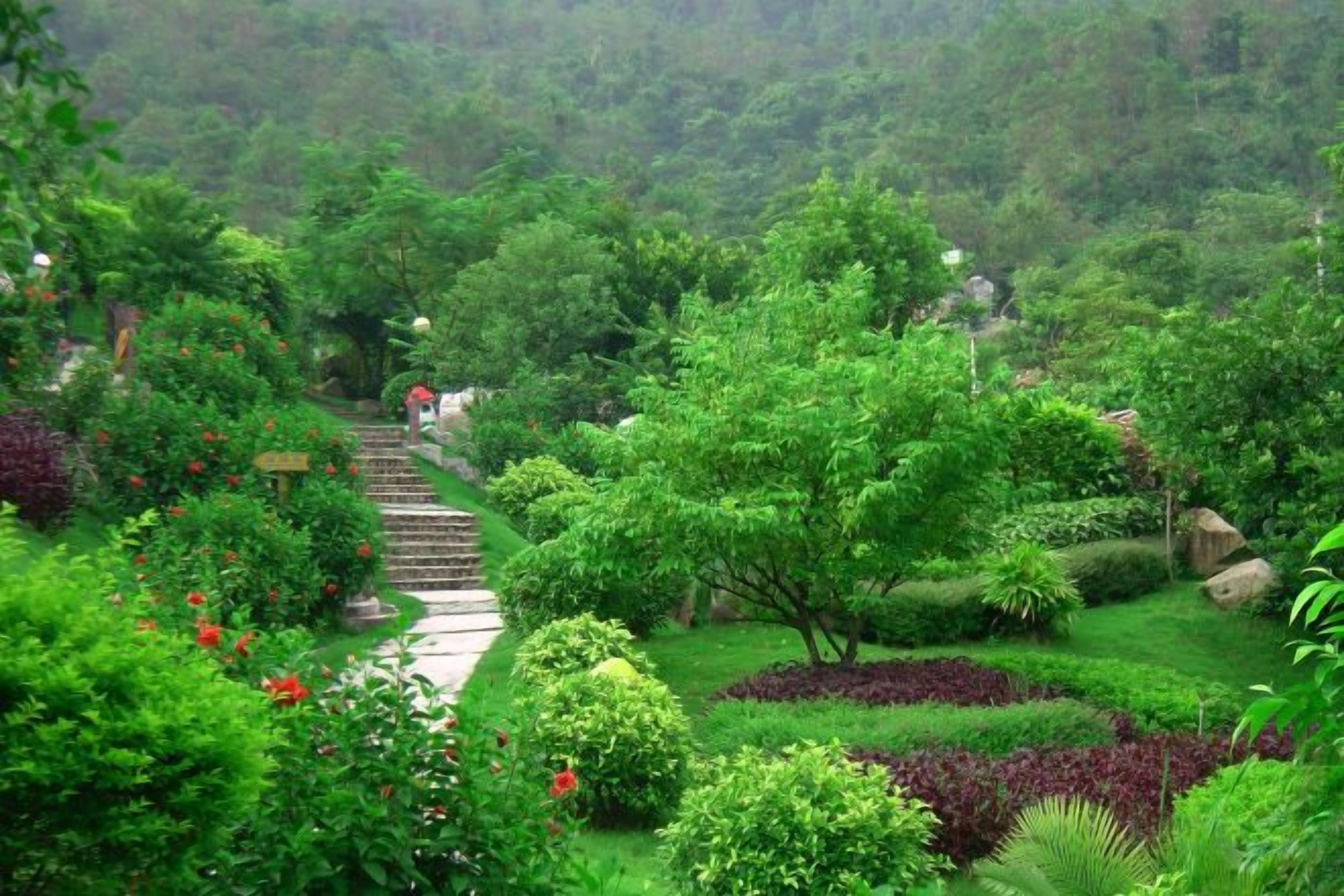 Un jardin luxuriant avec un sentier de pierre qui serpente à travers différentes plantes et arbres.