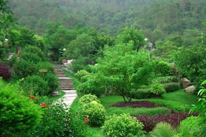 Un jardin luxuriant avec un sentier de pierre qui serpente à travers différentes plantes et arbres.