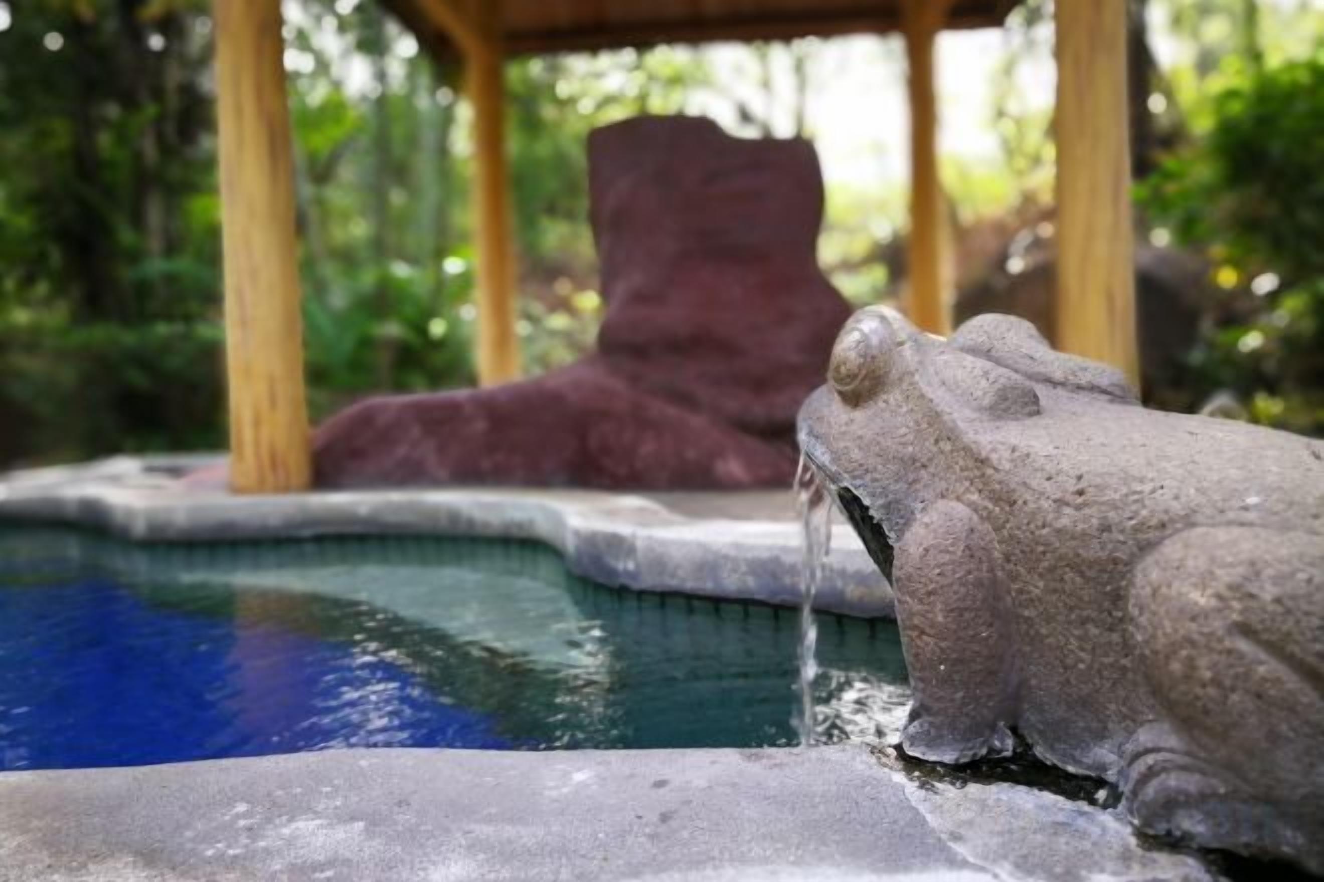 A stone frog statue with water flowing from its mouth, a pool, and a wooden structure in the background.
