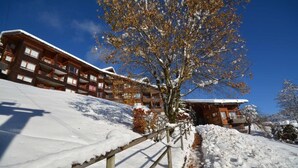 A wooden lodge with multiple balconies, a snow-covered slope, and a clear blue sky.