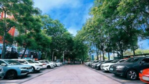 Une rangée de voitures garées le long d’une rue bordée d’arbres.