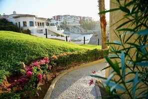 Property grounds - Stunning Ocean View! 1BED/1BA Fully Renovated Condo! (Cabo San Lucas)