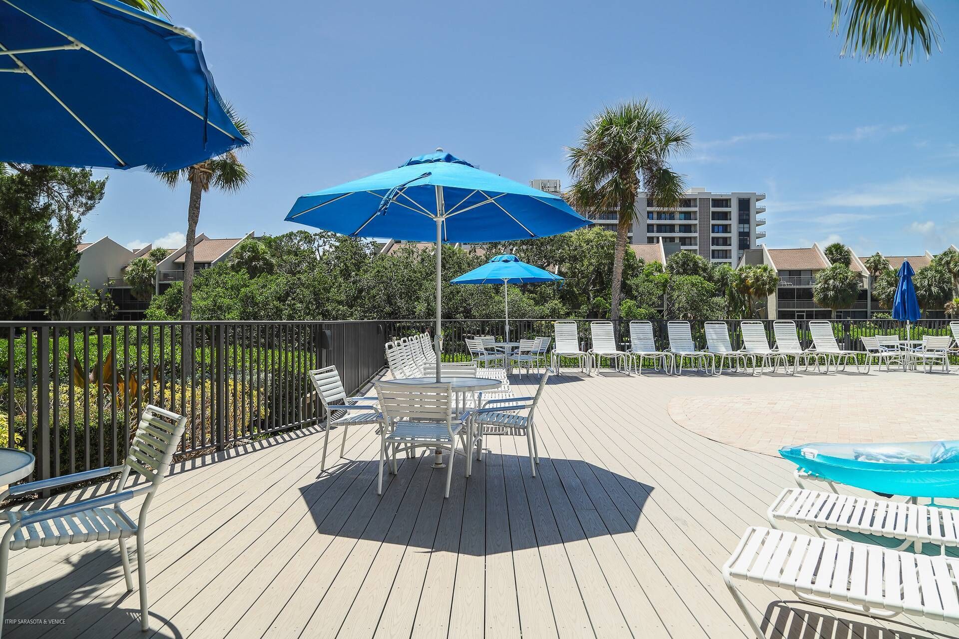 A poolside area with lounge chairs and umbrellas, surrounded by palm trees and a building in the background.