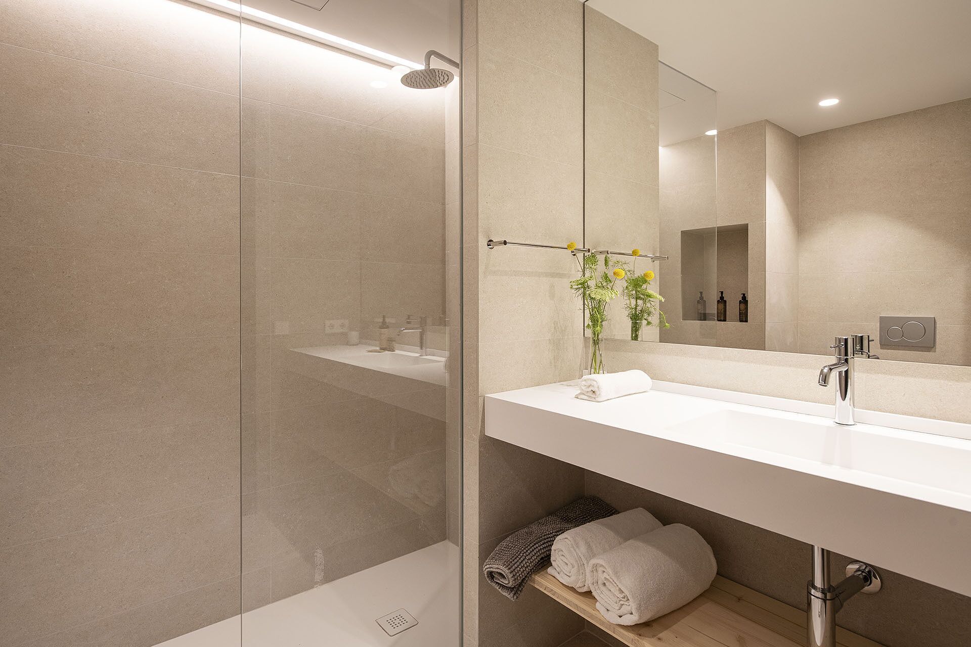 Secador de pelo y toallas