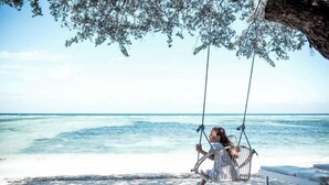 A beach scene with a swing chair under a tree, a bench, and the ocean in the background. - Villa Bhuvana with Private Swimming Pool (Gili Trawangan)