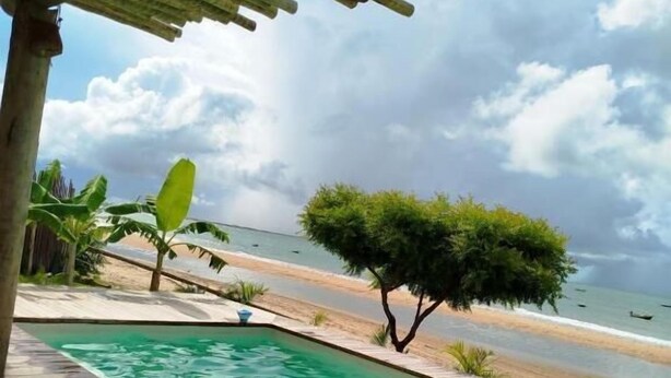 A wooden deck with a swimming pool, a beach view, and a small tree. - Caravelas Praia (Amontada)