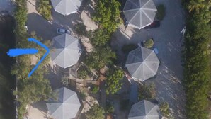 An aerial view of a beachside resort with umbrellas, a dock with boats, and a sandy area.