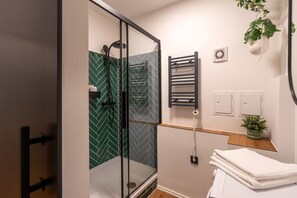 Un baño moderno con ducha envuelta en vidrio, un perchero, una planta pequeña y un enchufe.
