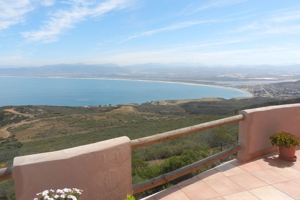 your everyday better than average view