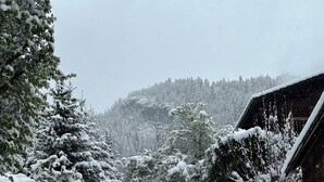 A snow-covered path leading to a wooden building surrounded by snow-laden trees.