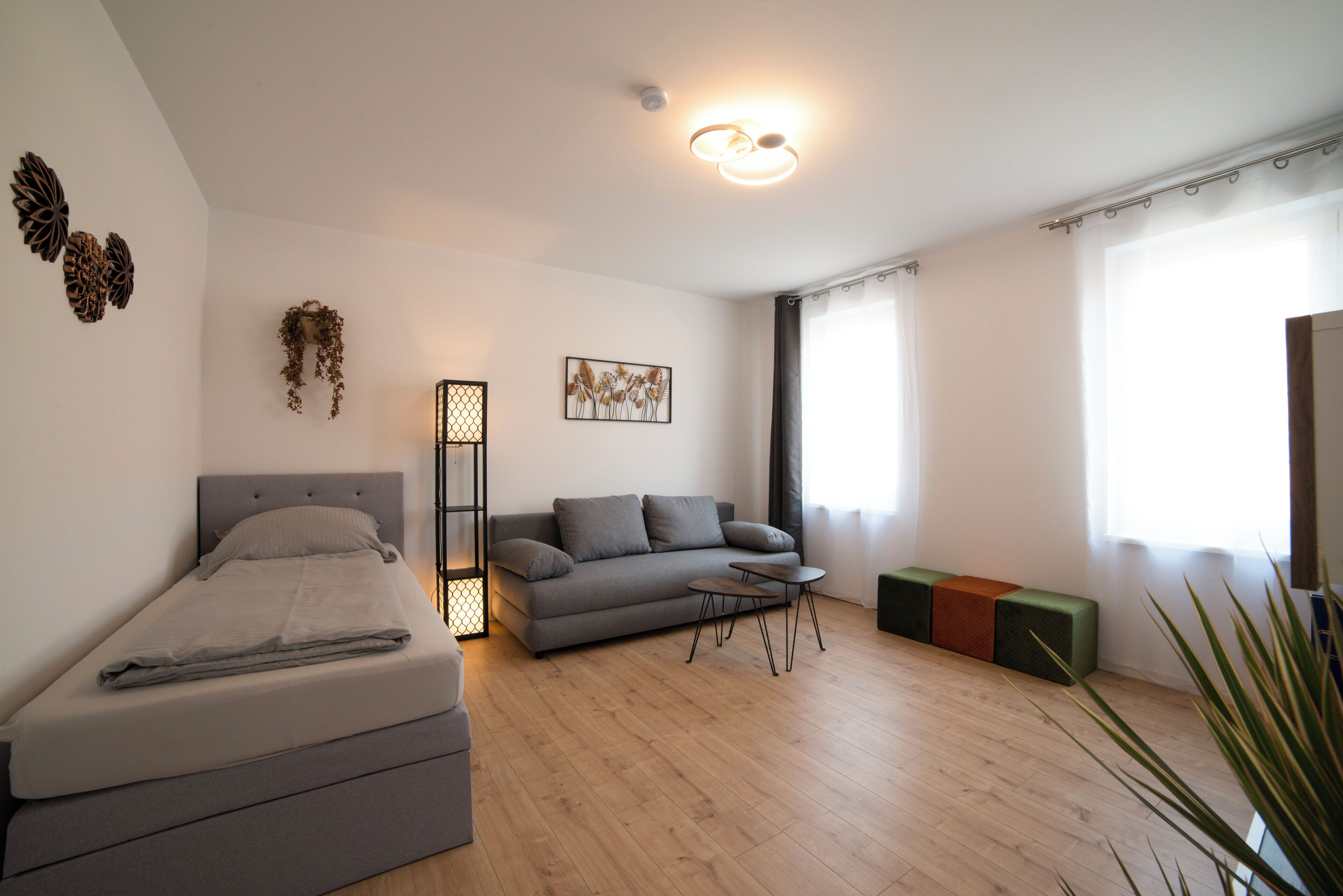 Smart TV, video library, stereo