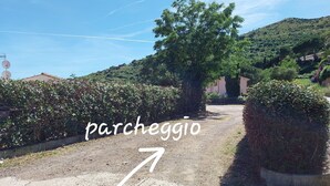 Un vialetto sterrato che conduce a un edificio con un albero al centro.