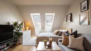 Fernseher, Arbeitsbereiche