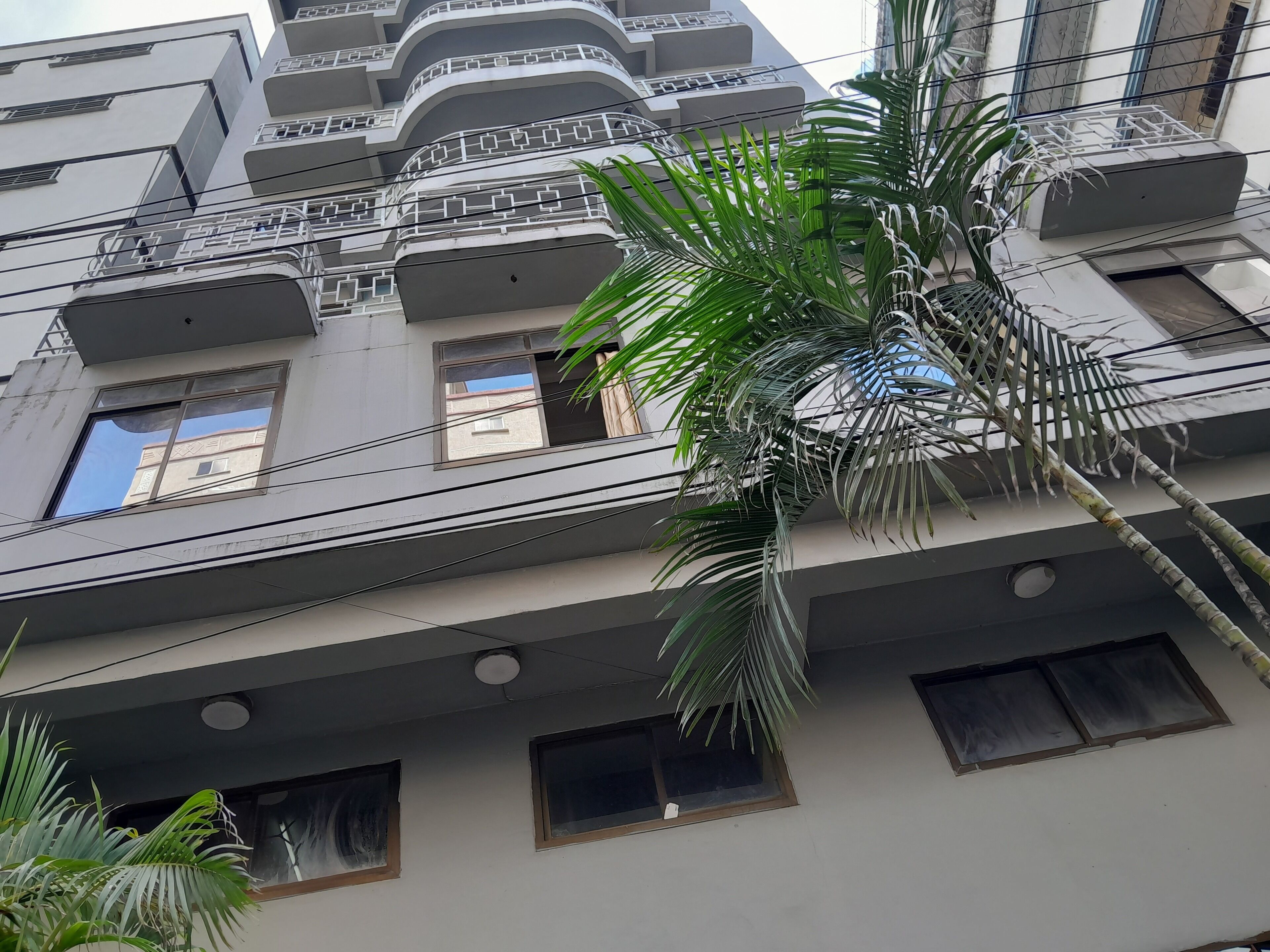 Un immeuble à plusieurs étages doté de balcons, de fenêtres et d’un palmier.