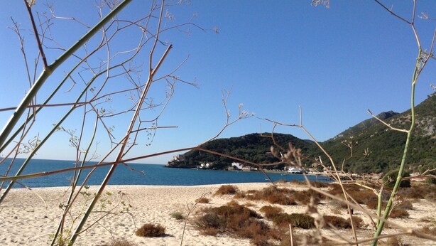 Una playa con arena y vegetación escasa, un cielo azul despejado y una vista distante de una colina con edificios.