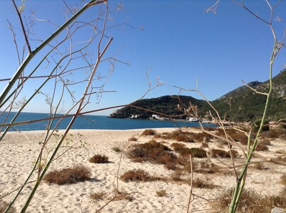 Sesimbra Secret Corner