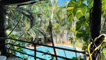 Una piscina rodeada de exuberante vegetación tropical, con palmeras y diversas plantas verdes.