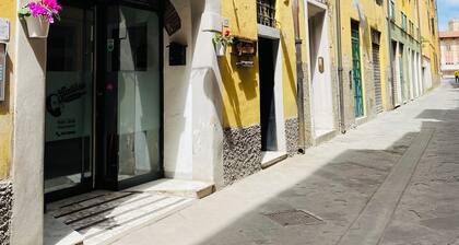 1 Bedroom Apartment in Pisa