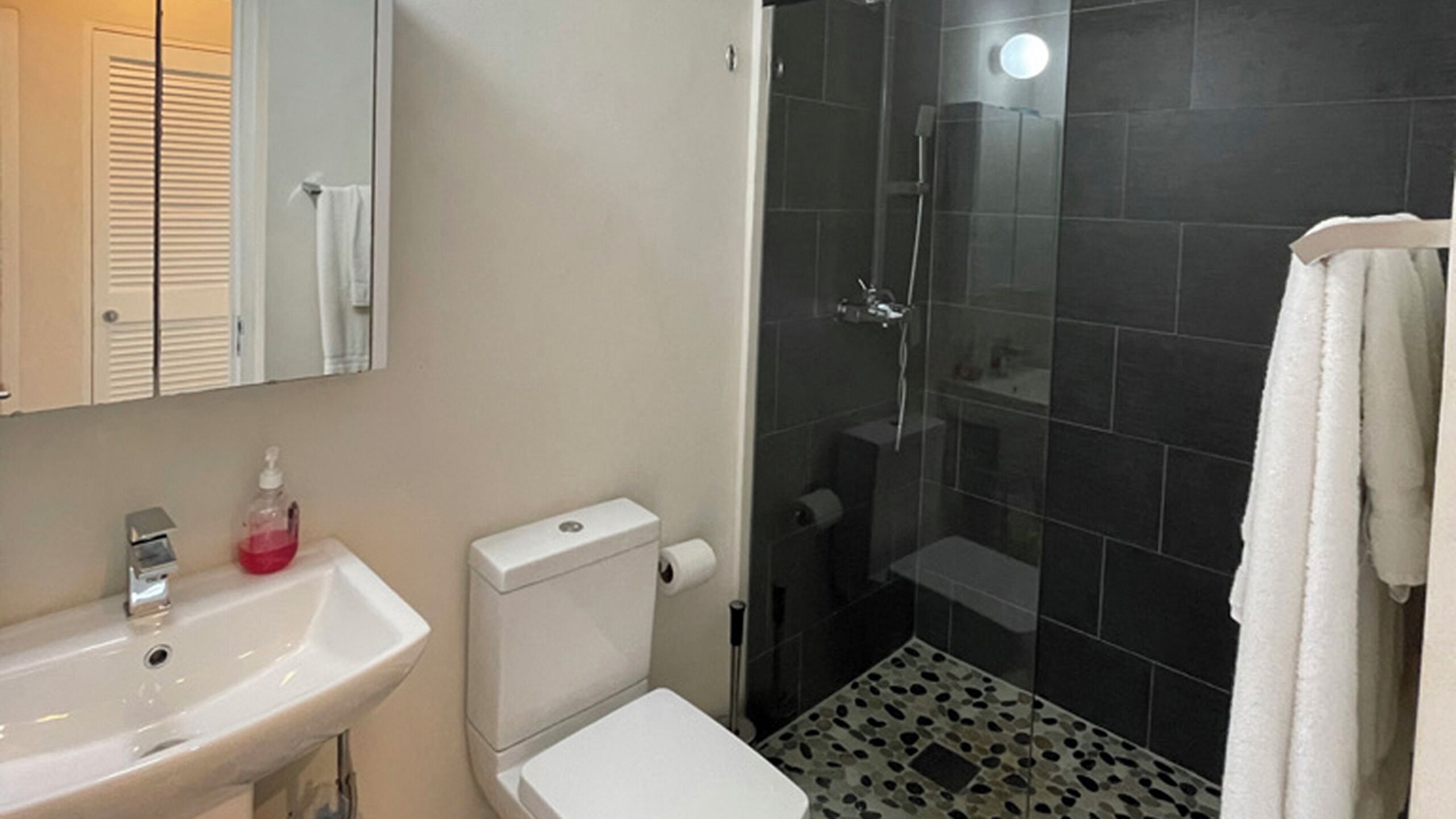 Departamento, 2 habitaciones, balcón, vista al jardín | Baño