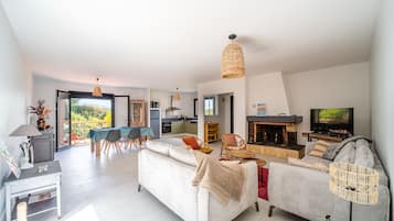 Télévision, cheminée, lecteur de DVD