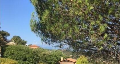 Maison Le Boulou - Grand jardin, piscine privée