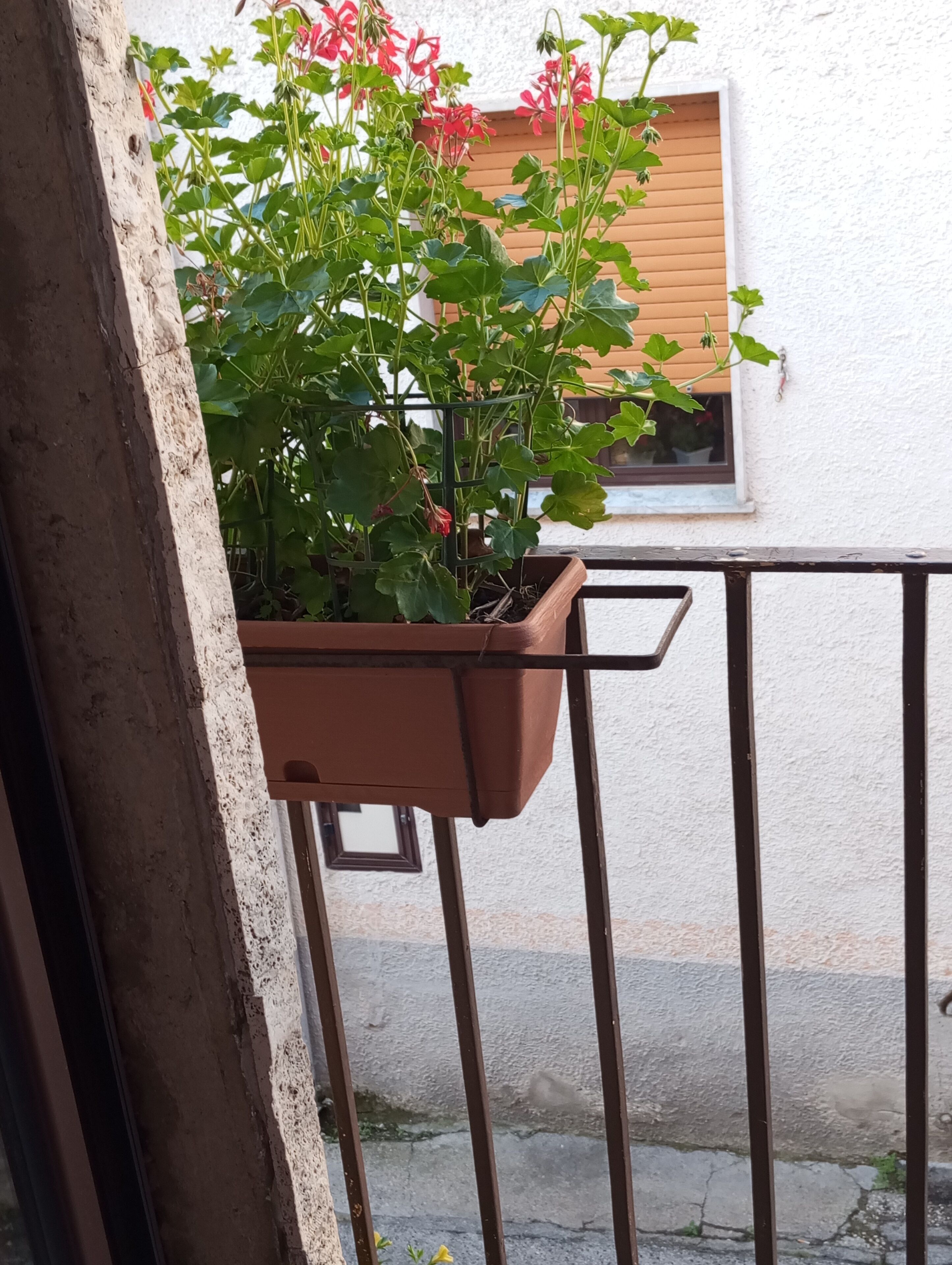 Casa Vacanza zia Ersilia la Casa dei Dolci Ricordi