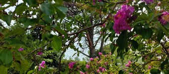 Rdc de villa en Drôme Provençale avec piscine privative et entrée indépendante 