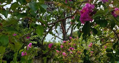 Rdc de villa en Drôme Provençale avec piscine privative et entrée indépendante