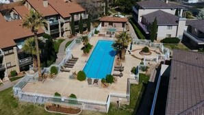 A residential area with a swimming pool surrounded by a white fence, palm trees, and a view of neighboring houses.