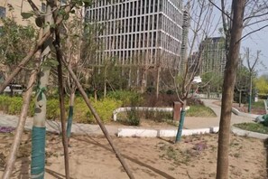 숙박 시설의 전망