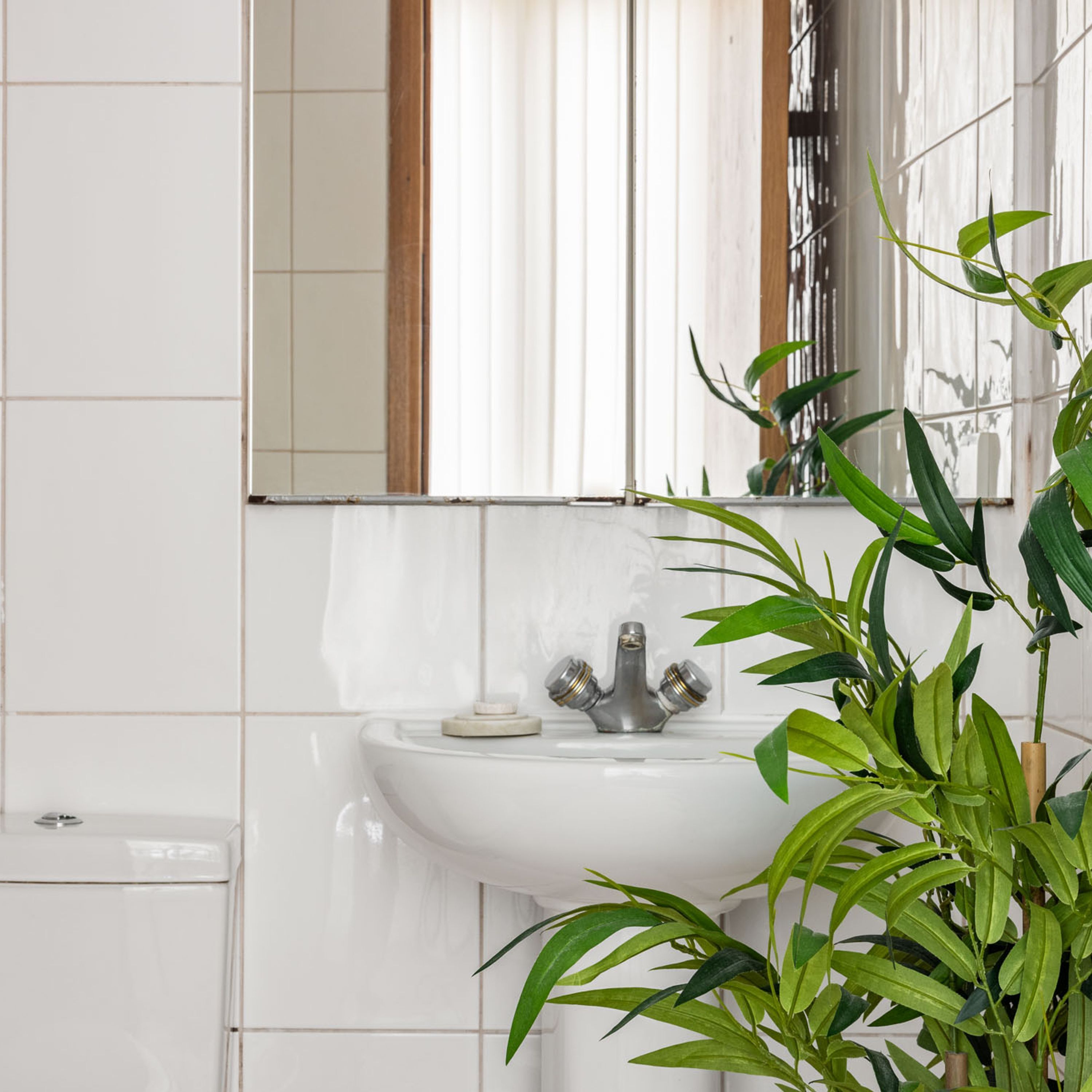 Ein Badezimmer mit einem weißen Waschbecken, einem Spiegel und einer Topfpflanze.