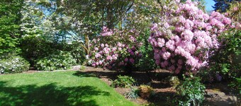 Cozy Cottage on family hazelnut farm in beautiful Willamette Valley