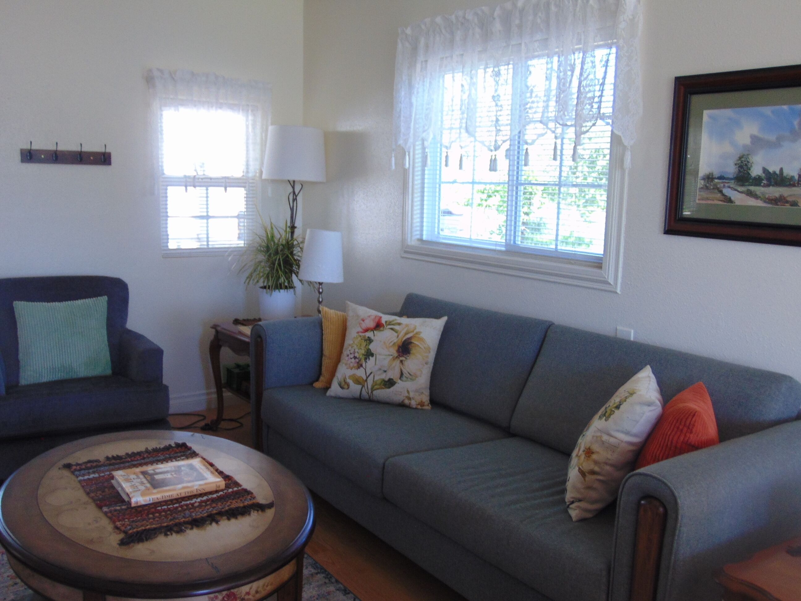 TV connectée, cheminée, livres