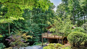 Property grounds - Creekside, spacious home for 8; 9 mi. Highlands, close Sky Valley, GA (Scaly Mountain)