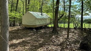 Een tent in een bebost gebied met bomen en een heldere lucht.