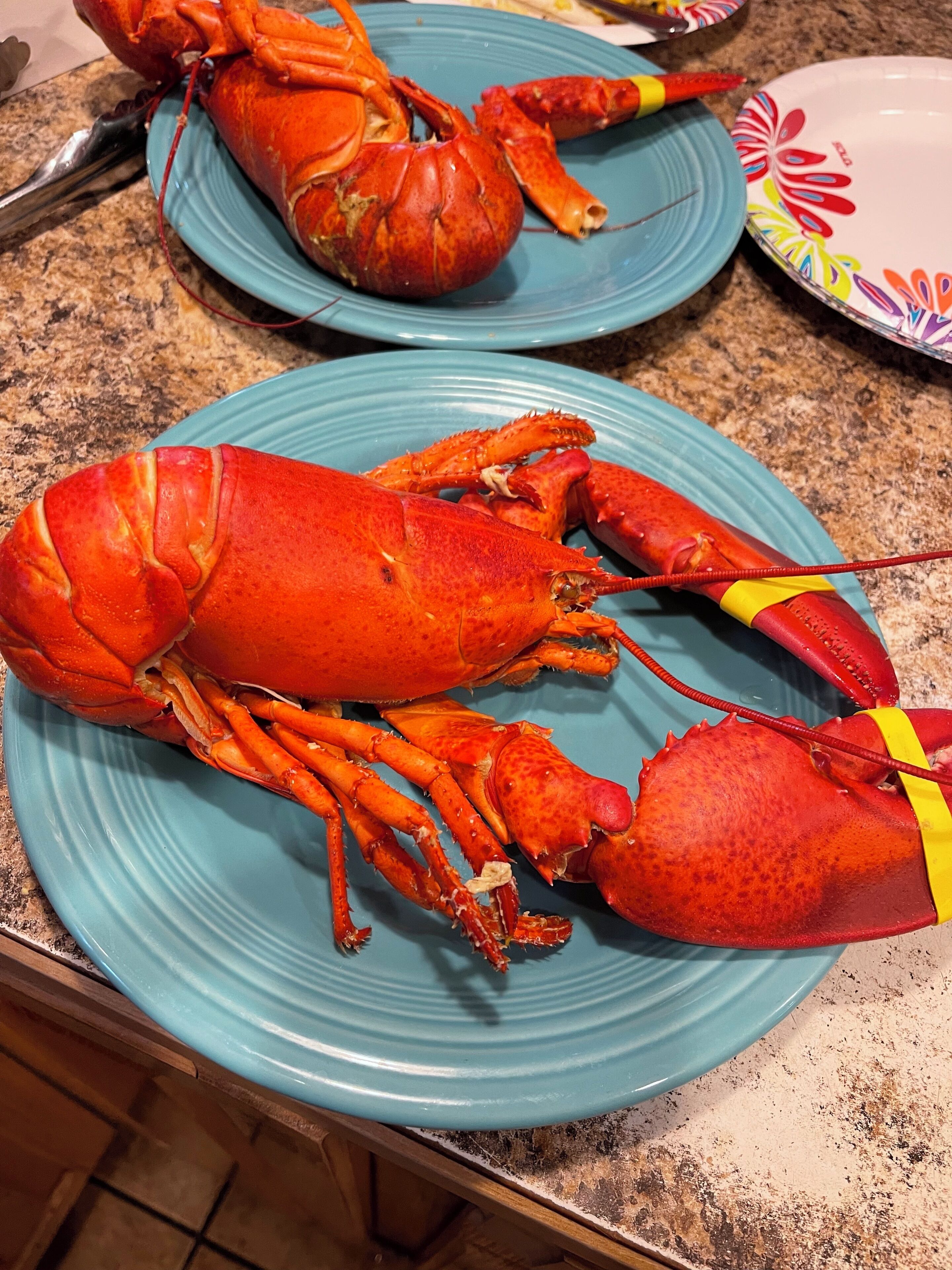 Un homard sur une assiette bleue.